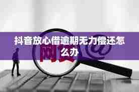 抖音放心借逾期无力偿还怎么办