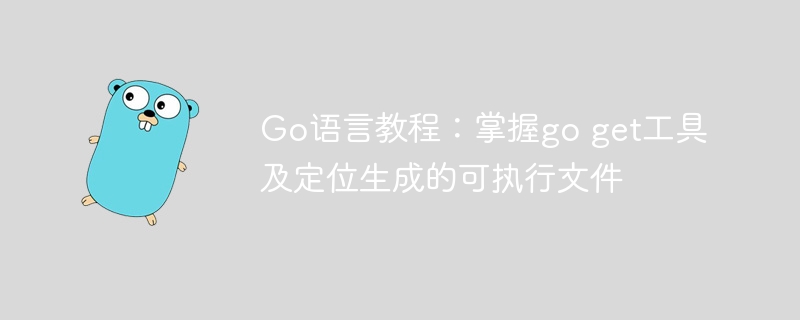 Go语言教程：掌握go get工具及定位生成的可执行文件
