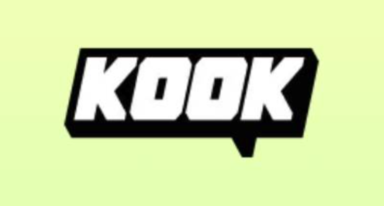 kook的zoom插件如何安装_kook软件插件安装步骤指南
