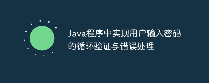 Java程序中实现用户输入密码的循环验证与错误处理
