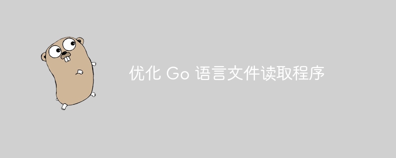 优化 Go 语言文件读取程序