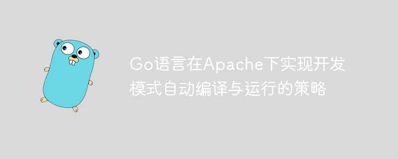 Go语言在Apache下实现开发模式自动编译与运行的策略
