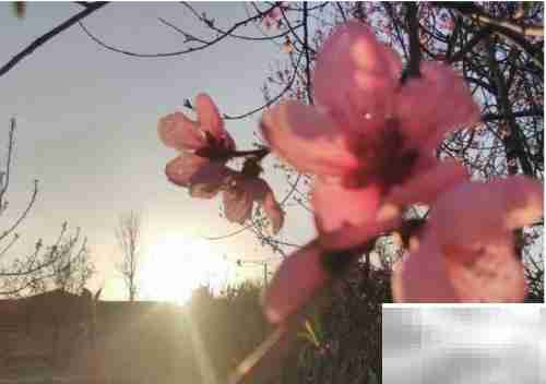 晨光之美，如诗如画