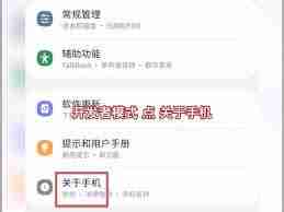 如何打开三星手机开发者模式