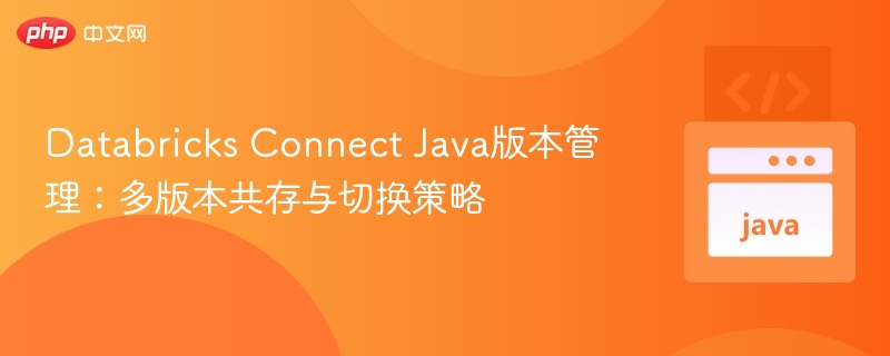 Databricks Connect Java版本管理：多版本共存与切换策略
