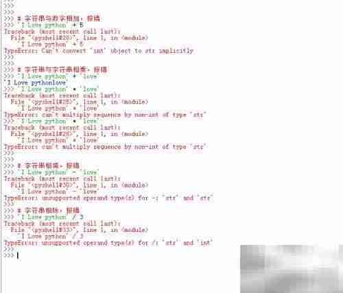 Python DLE打印输出