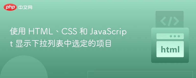 使用 HTML、CSS 和 JavaScript 显示下拉列表中选定的项目