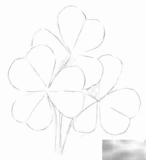 三叶草绘画技巧