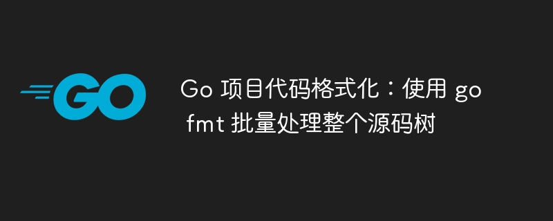 Go 项目代码格式化：使用 go fmt 批量处理整个源码树
