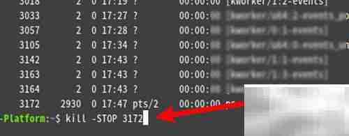 Linux终止进程命令详解