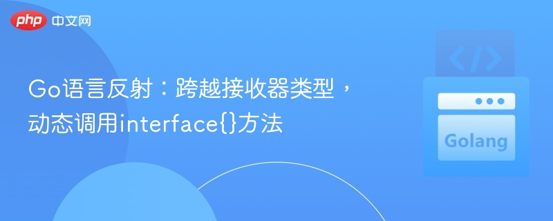 Go语言反射：跨越接收器类型，动态调用interface{}方法
