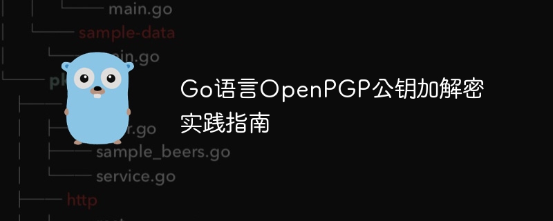 Go语言OpenPGP公钥加解密实践指南