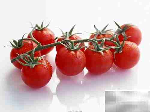 常见碱性食物一览