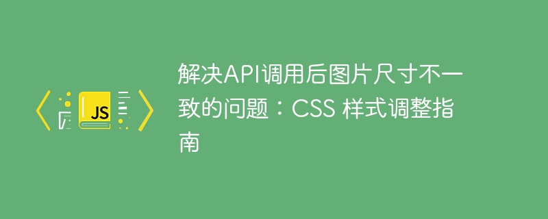 解决API调用后图片尺寸不一致的问题:CSS 样式调整指南