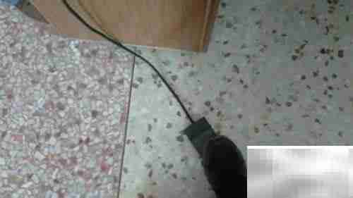 医院病历装订方法指南