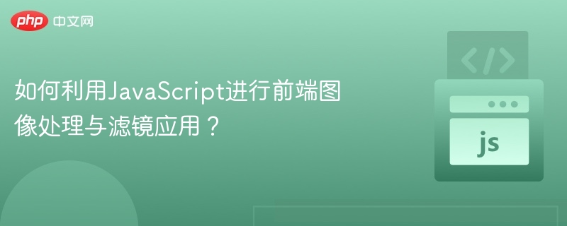 如何利用JavaScript进行前端图像处理与滤镜应用？