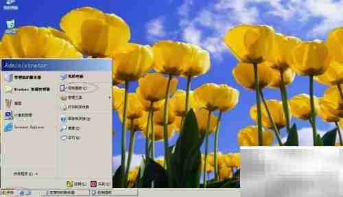 Win Server 2003显示鼠标轨迹