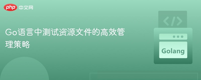 Go语言中测试资源文件的高效管理策略
