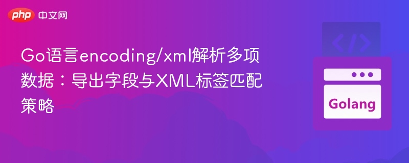 Go语言encoding/xml解析多项数据：导出字段与XML标签匹配策略

