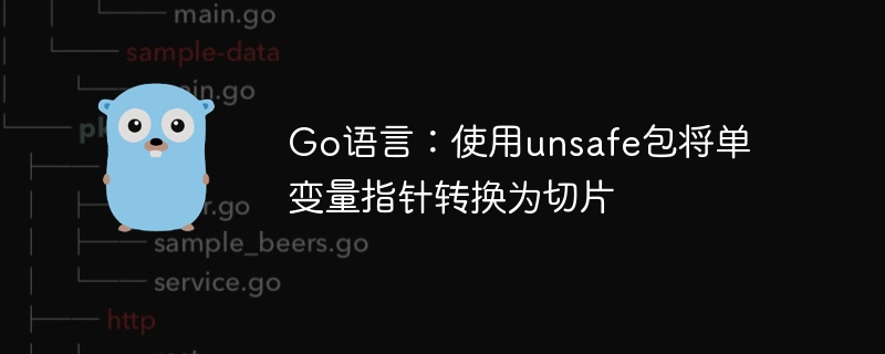 Go语言：使用unsafe包将单变量指针转换为切片
