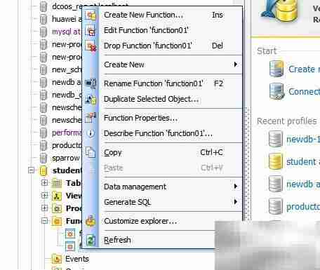 Maestro修改函数注释指南