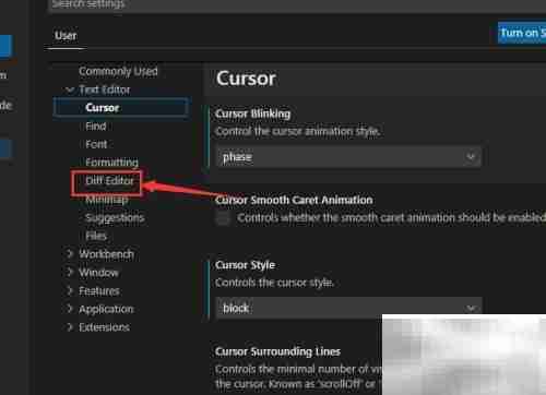 VS Code编码透镜设置方法
