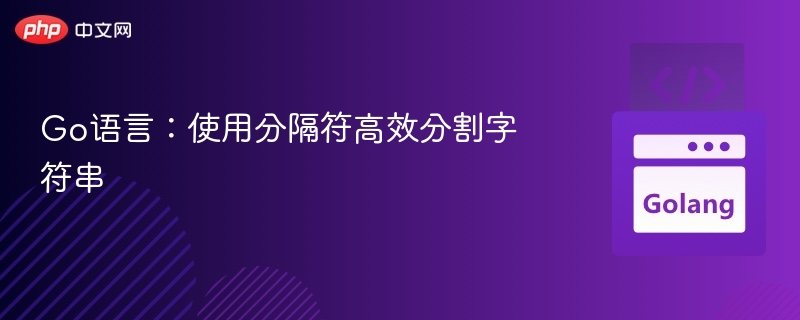 Go语言：使用分隔符高效分割字符串
