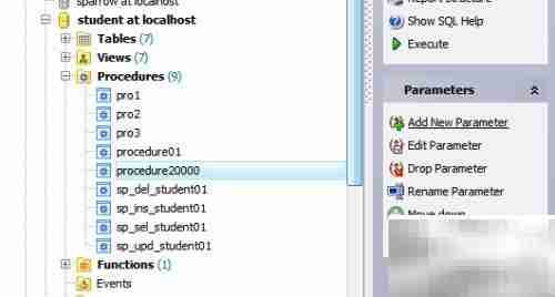 Maestro创建存储过程指南