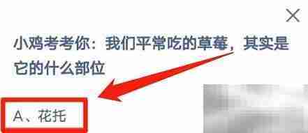 草莓我们吃的是哪个部位？