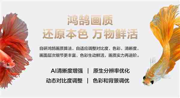 长虹、海思联合发布长虹星闪电视2.0：一根线搞定供电+4K传输
