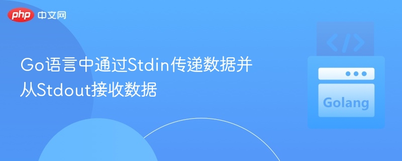 Go语言中通过Stdin传递数据并从Stdout接收数据