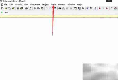 Crimson Editor斜体注释关闭方法