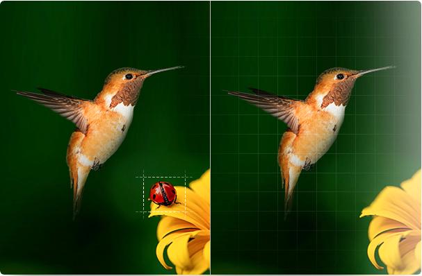 如何通过绘蛙AI修图接短视频封面？自媒体变现