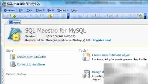 Maestro修改查询名称指南
