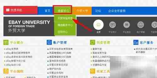 体验报告打开方法详解