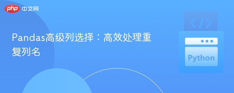 Pandas高级列选择：高效处理重复列名
