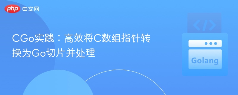 CGo实践：高效将C数组指针转换为Go切片并处理