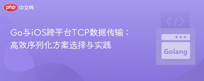 Go与iOS跨平台TCP数据传输：高效序列化方案选择与实践
