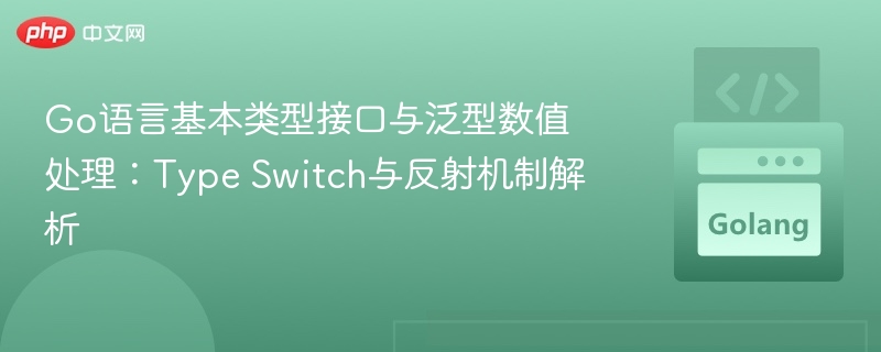 Go语言基本类型接口与泛型数值处理：Type Switch与反射机制解析
