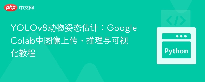 YOLOv8动物姿态估计：Google Colab中图像上传、推理与可视化教程
