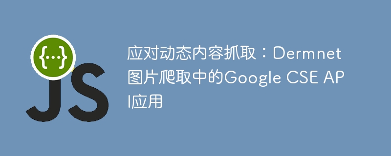 应对动态内容抓取：Dermnet图片爬取中的Google CSE API应用
