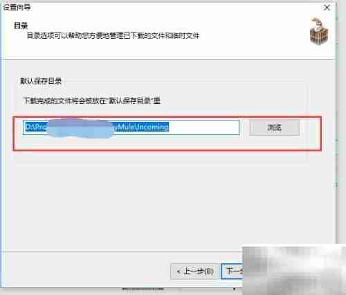 电驴下载电影全攻略