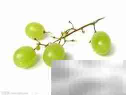 西药能否根治慢性前列腺炎