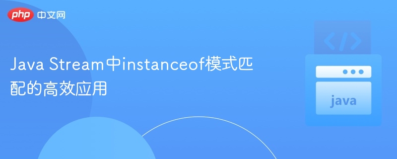 Java Stream中instanceof模式匹配的高效应用

