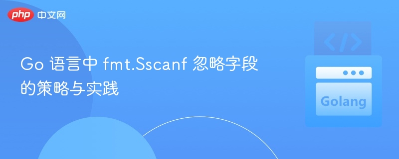 Go 语言中 fmt.Sscanf 忽略字段的策略与实践

