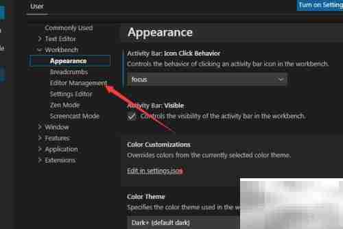 VS Code关闭标签页显示