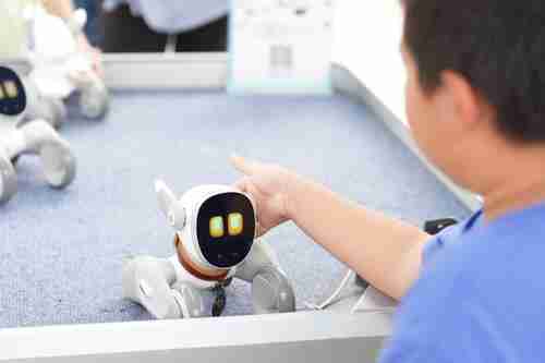 Loona宠物机器人“萌翻”2025中网球场
