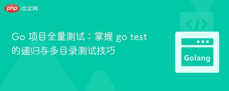 Go 项目全量测试：掌握 go test 的递归与多目录测试技巧
