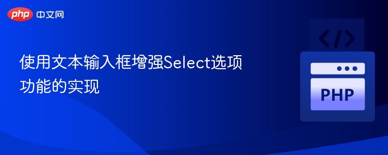 使用文本输入框增强Select选项功能的实现
