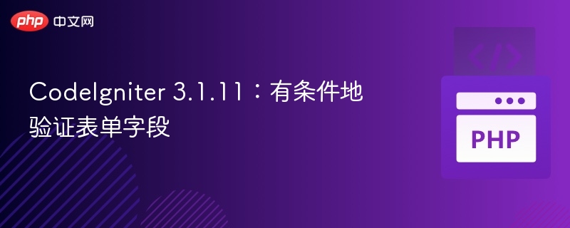 CodeIgniter 3.1.11：有条件地验证表单字段